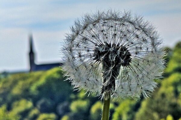 Neue Landesbischöfin 
