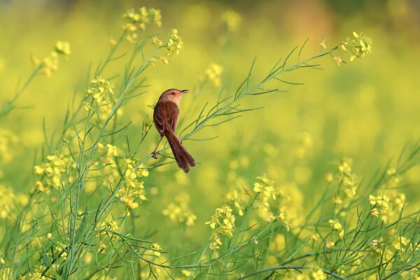 Strukturreform nimmt Fahrt auf